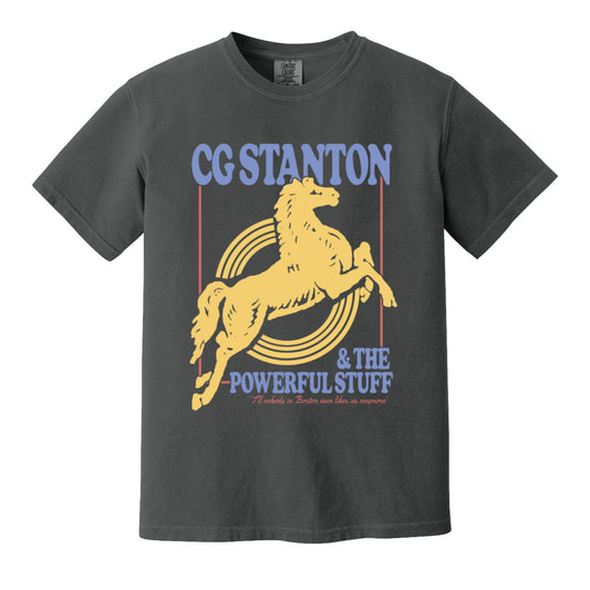 Nobody in Boston Horsey Shirt